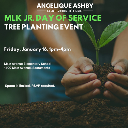 Flyer announcing an MLK Jr. Day of Service Tree Planting Event hosted by California State Senator Angelique Ashby.