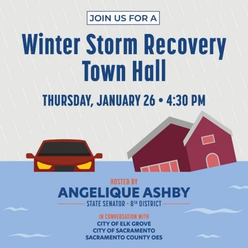 Winter Storm Recovery Town Hall Flier