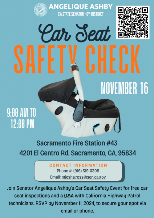 car-seat-safety-flyer